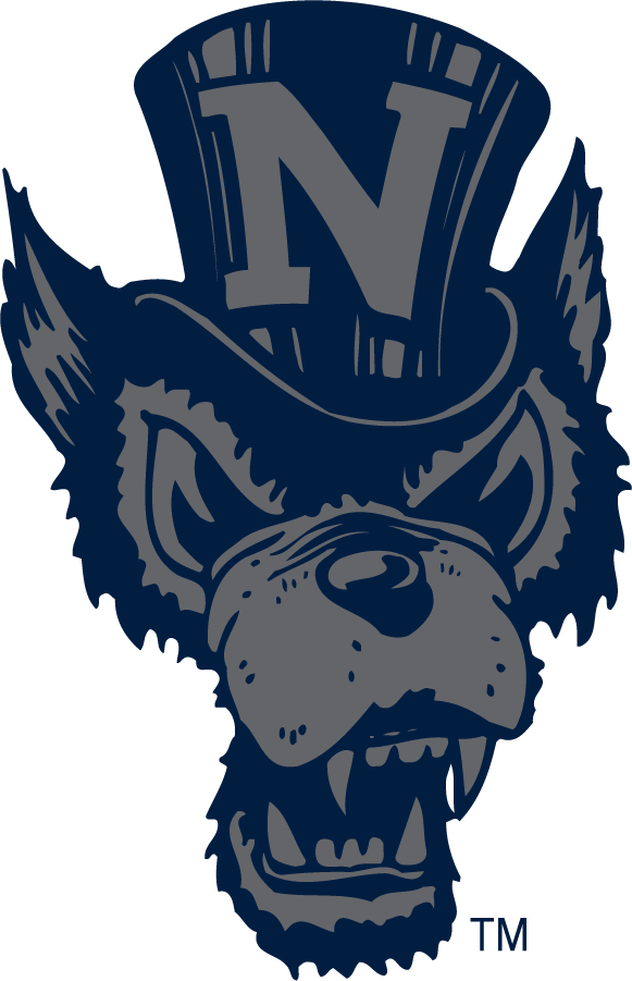 Nevada Wolf Pack 2006-2023 Secondary Logo diy DTF decal sticker